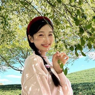 功夫兔与菜包狗第二季